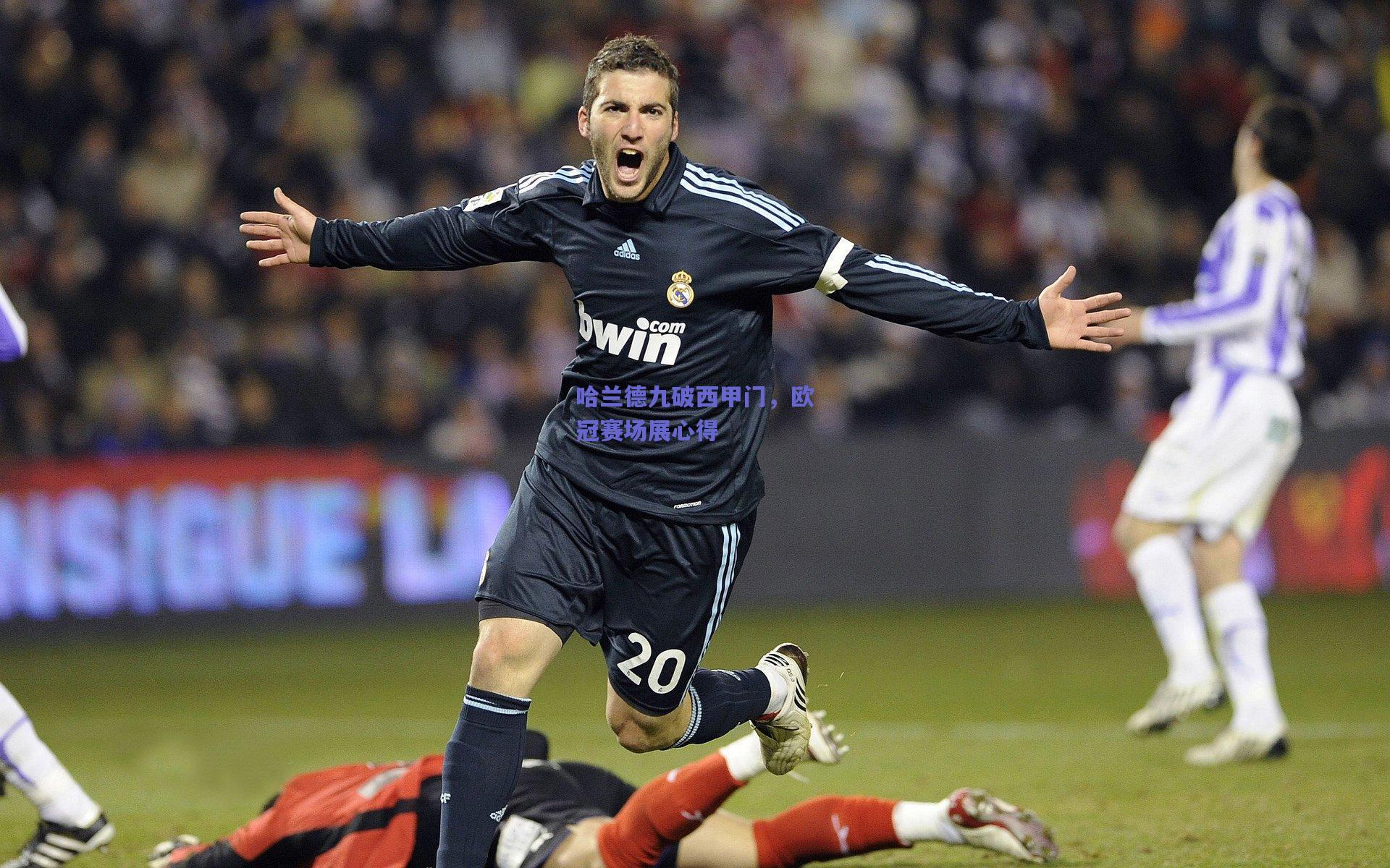 哈兰德九破西甲门，欧冠赛场展心得